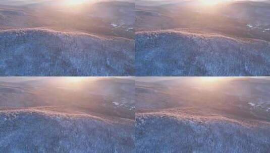 大兴安岭冬季黎明雪色山林高清在线视频素材下载