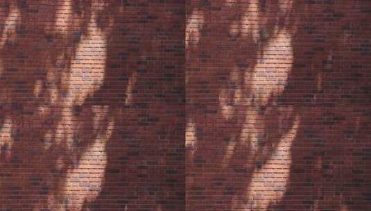 红砖墙面光影特写高清在线视频素材下载