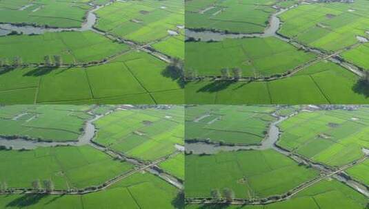 新农村乡村农民田野三农航拍高清在线视频素材下载