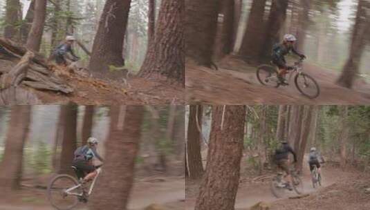 自行车手在森林里骑行高清在线视频素材下载