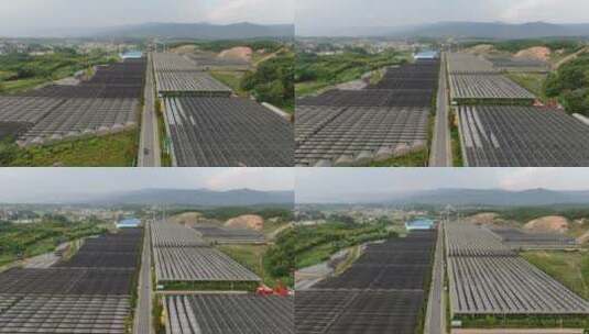 航拍现代农业大棚种植基地高清在线视频素材下载