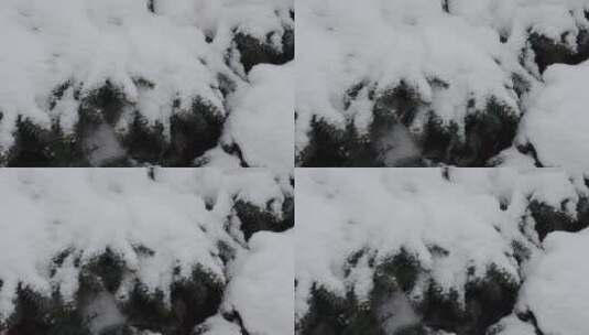 落在花园上的厚厚的雪高清在线视频素材下载