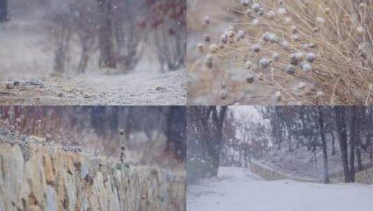 大雪纷纷的山间小路与干枯的野花高清在线视频素材下载