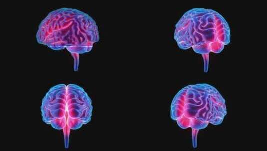 医学 大脑 脑科学 三维 脑ct1 模型高清在线视频素材下载