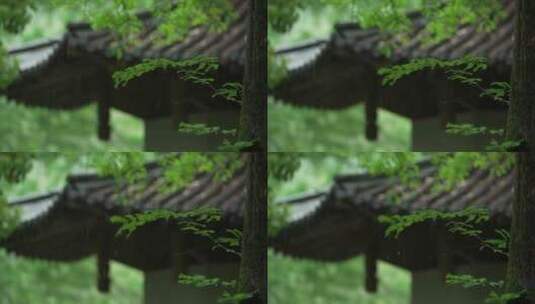 179 杭州 风景 古建筑 下雨天 亭子 树枝高清在线视频素材下载