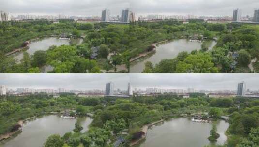 上海植物园航拍品种绿色植被4K航拍高清在线视频素材下载