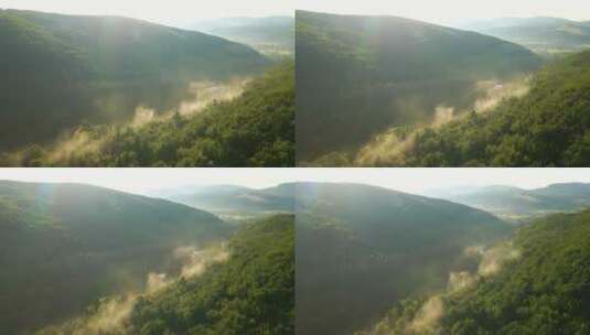 航拍云雾的森林高清在线视频素材下载