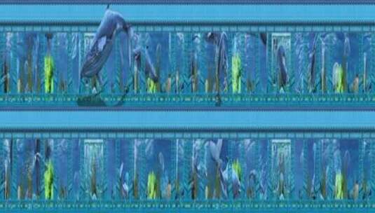 蓝色屏风海洋 鲨鱼鲸鱼 裸眼3d高清在线视频素材下载