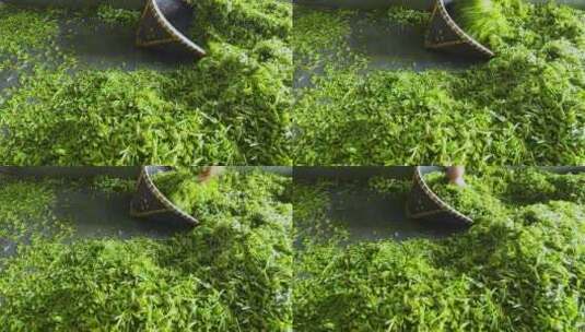 实拍现代化制茶车间茶叶生产加工制作过程高清在线视频素材下载