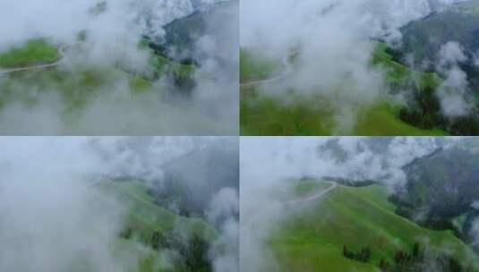 云雾中的草原森林高清在线视频素材下载