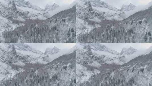四姑娘山冬季雪景双桥沟航拍风景高清在线视频素材下载