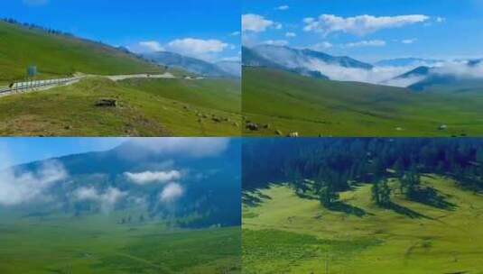 新疆乌鲁木齐夏季草原山坡高清在线视频素材下载