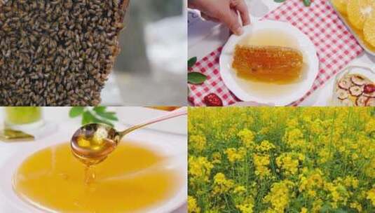 蜂花蜜素材高清在线视频素材下载