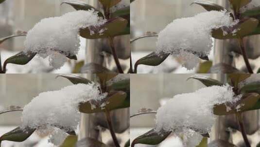 冬天的白雪视频高清在线视频素材下载