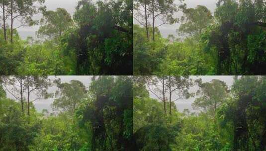 下雨登山山顶起雾山林高清在线视频素材下载