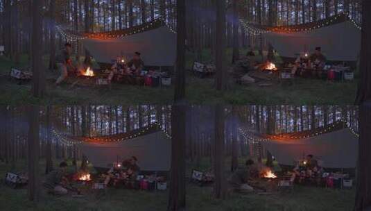 森林户外风景露营篝火高清在线视频素材下载
