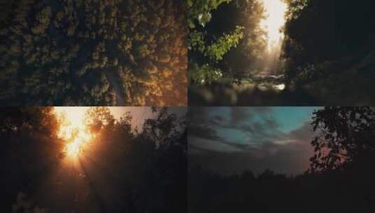 森林日转夜丁达尔光线阳光穿过森林星空夜空高清在线视频素材下载
