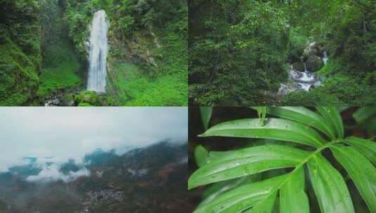 云南保山高黎贡山百花岭，雨林瀑布植被生态高清在线视频素材下载