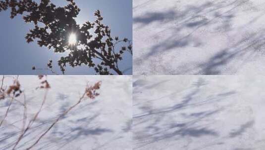 雪地上植物的随风摇曳的影子高清在线视频素材下载