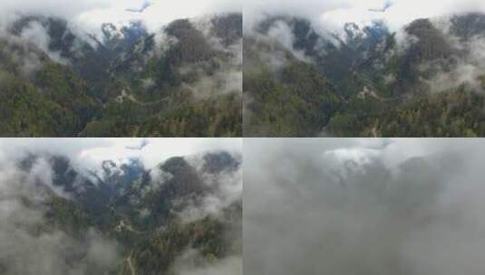 起雾的山谷高清在线视频素材下载
