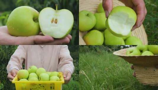 新鲜青苹果高清在线视频素材下载