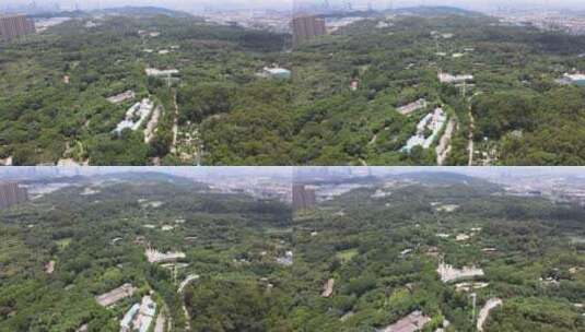 广州长隆野生动物园航拍高清在线视频素材下载