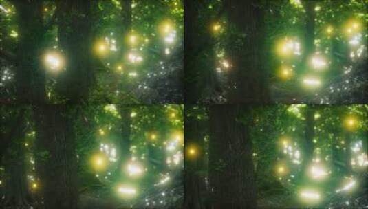森林中萤火虫高清在线视频素材下载