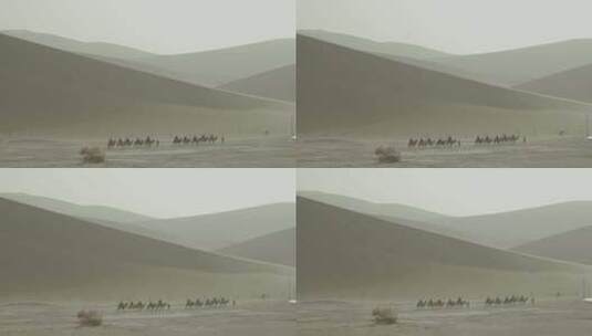 沙漠中骑着骆驼前行的人们高清在线视频素材下载