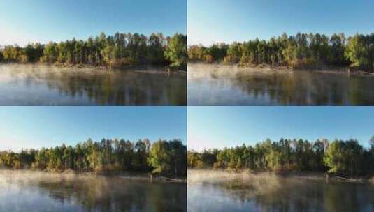 秋季森林河晨雾迷漫高清在线视频素材下载