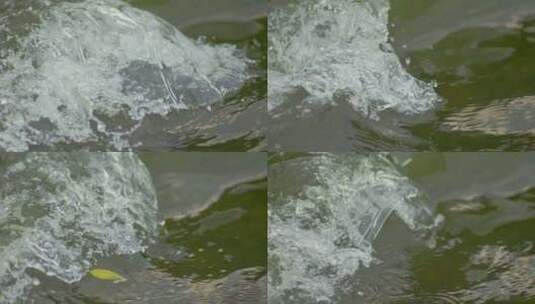 河流河水溪流溪水流水高清在线视频素材下载
