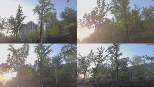 夕阳阳光穿过树林开车第一视角高清在线视频素材下载