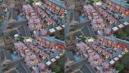 春天古建筑樱花与灯笼夜景航拍徐州市回龙窝高清在线视频素材下载