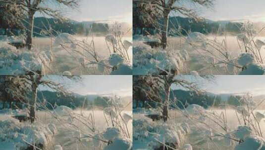 冬季湖边雪景高清在线视频素材下载
