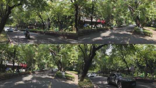 深圳香山东街车流城市道路绿化高清在线视频素材下载