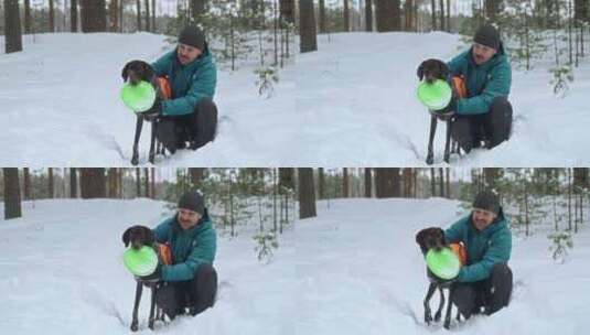 一个快乐的男人在多雪的冬季森林里遛狗高清在线视频素材下载