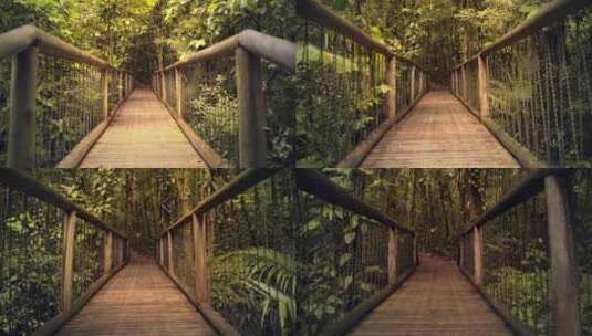 美丽的悬索木桥高清在线视频素材下载