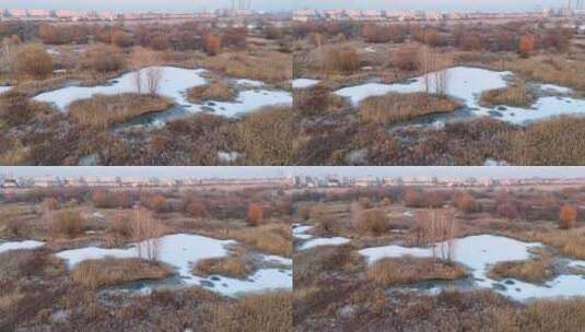 瓦卡雷斯提三角洲的冷冻池塘高清在线视频素材下载