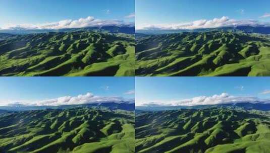 新疆伊犁唐布拉百里画廊大草原高清在线视频素材下载