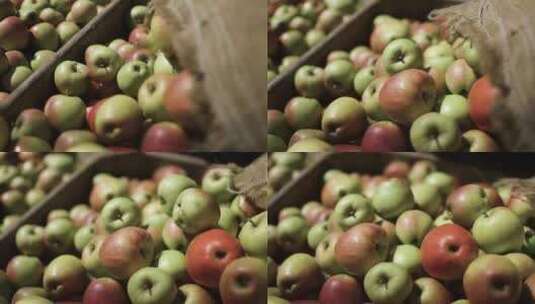 苹果从袋子里倒进一堆苹果高清在线视频素材下载