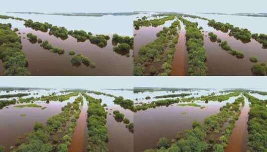 航拍饶河南湖湿地风光高清在线视频素材下载