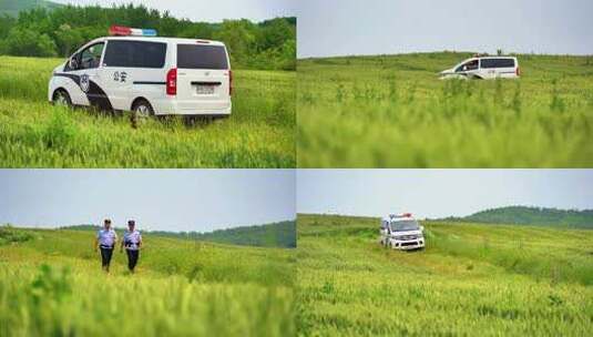 威海初村莱山村夏季麦田公安民警警车巡逻高清在线视频素材下载