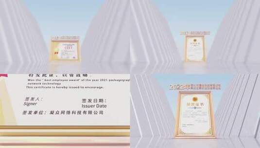 简洁企业荣誉奖牌证书高清AE视频素材下载