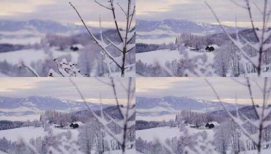 树，雪，机架焦点，视图高清在线视频素材下载