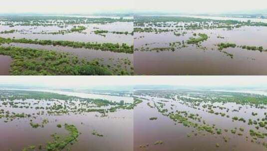 航拍饶河南湖湿地风光高清在线视频素材下载