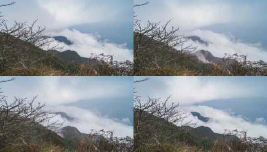 四川峨眉山风景区云雾延时摄影高清在线视频素材下载