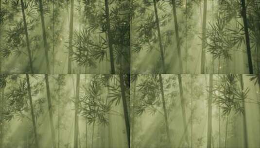 亚洲竹林与晨雾天气高清在线视频素材下载