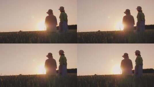 母亲和女儿看着麦田上美丽的日落高清在线视频素材下载
