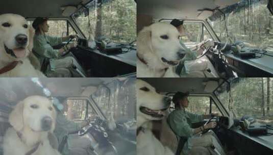 女人带着狗驾驶着货车高清在线视频素材下载