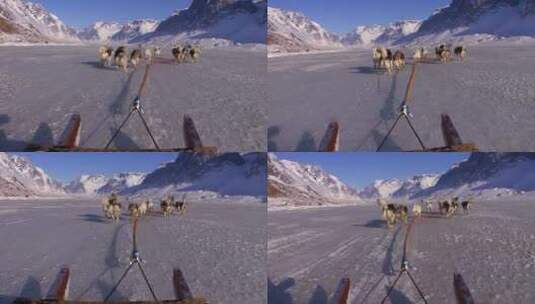 狗拉着雪橇跑高清在线视频素材下载