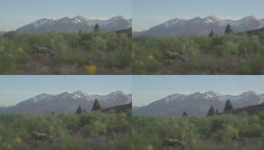 航拍内华达山脉景观高清在线视频素材下载